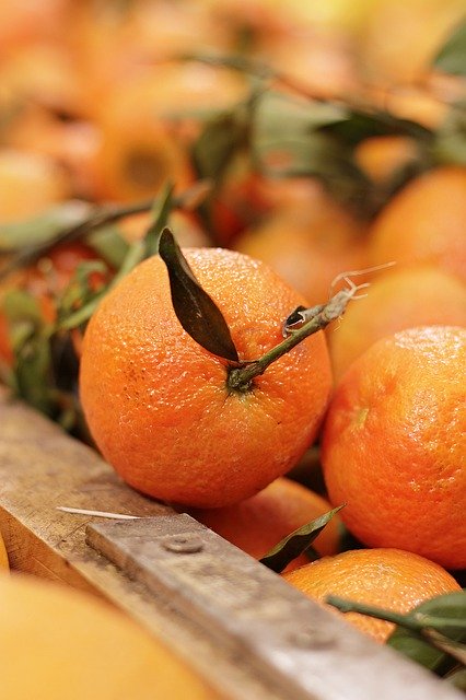 3 Ways You Might Enjoy Having a Clementine Tree in Your Garden